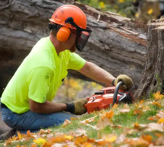 tree services Devils Lake